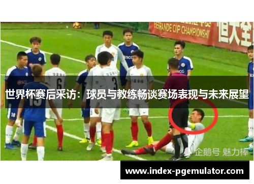 世界杯赛后采访：球员与教练畅谈赛场表现与未来展望