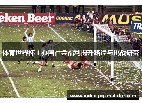 体育世界杯主办国社会福利提升路径与挑战研究