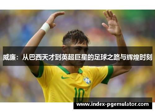威廉：从巴西天才到英超巨星的足球之路与辉煌时刻
