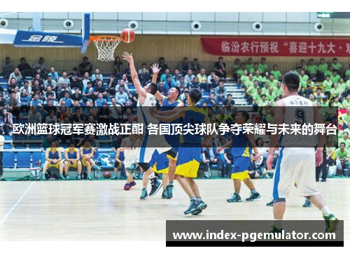 欧洲篮球冠军赛激战正酣 各国顶尖球队争夺荣耀与未来的舞台