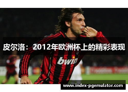 皮尔洛：2012年欧洲杯上的精彩表现