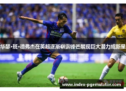华瑟·斑·德弗杰在英超逐渐崭露锋芒展现巨大潜力成新星