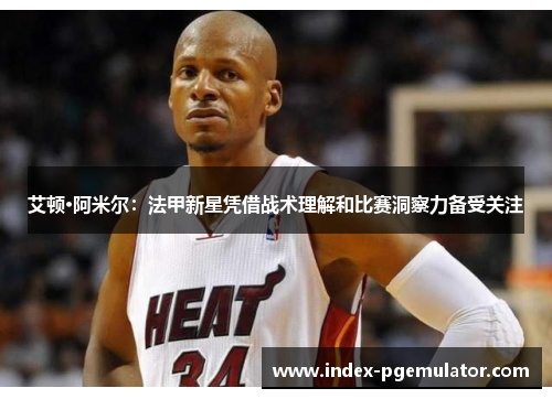 艾顿·阿米尔：法甲新星凭借战术理解和比赛洞察力备受关注