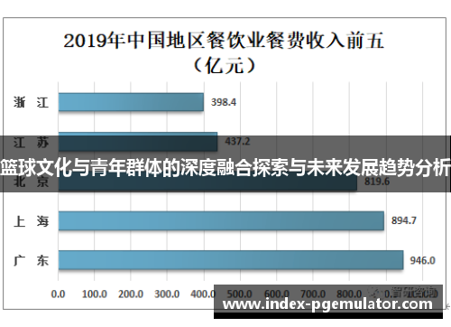篮球文化与青年群体的深度融合探索与未来发展趋势分析