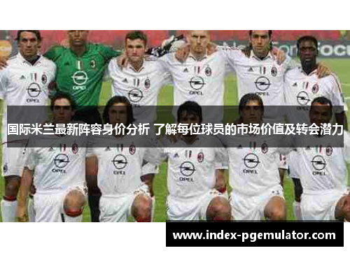 国际米兰最新阵容身价分析 了解每位球员的市场价值及转会潜力