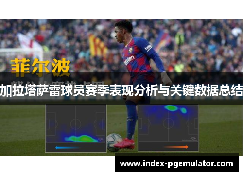 加拉塔萨雷球员赛季表现分析与关键数据总结