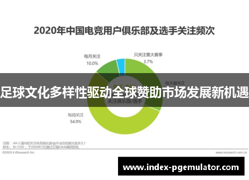足球文化多样性驱动全球赞助市场发展新机遇