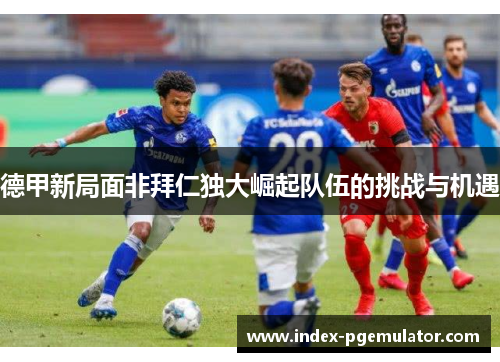 德甲新局面非拜仁独大崛起队伍的挑战与机遇