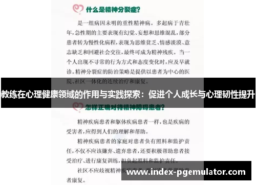 教练在心理健康领域的作用与实践探索：促进个人成长与心理韧性提升