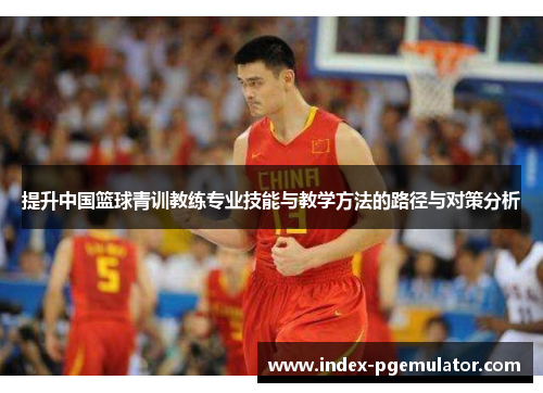 提升中国篮球青训教练专业技能与教学方法的路径与对策分析