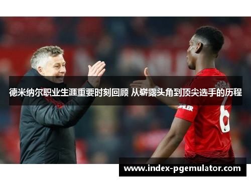 德米纳尔职业生涯重要时刻回顾 从崭露头角到顶尖选手的历程