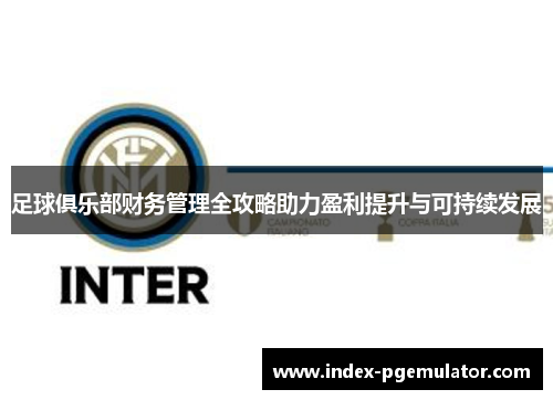 足球俱乐部财务管理全攻略助力盈利提升与可持续发展