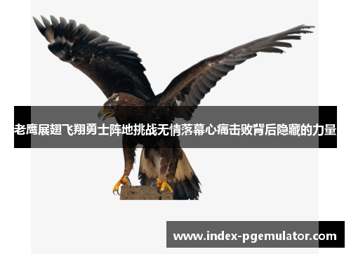 老鹰展翅飞翔勇士阵地挑战无情落幕心痛击败背后隐藏的力量