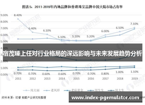 宿茂臻上任对行业格局的深远影响与未来发展趋势分析