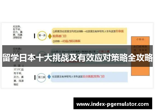 留学日本十大挑战及有效应对策略全攻略