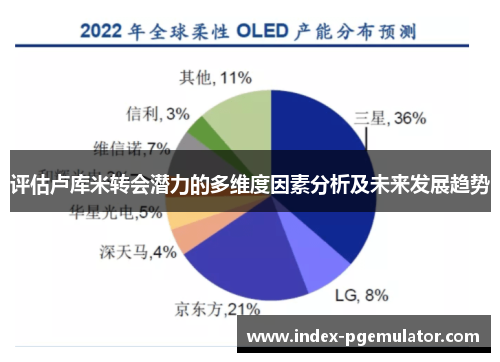 评估卢库米转会潜力的多维度因素分析及未来发展趋势