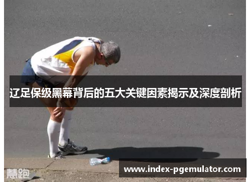 辽足保级黑幕背后的五大关键因素揭示及深度剖析