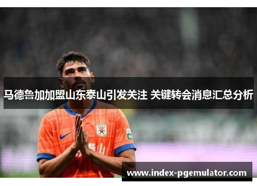 马德鲁加加盟山东泰山引发关注 关键转会消息汇总分析