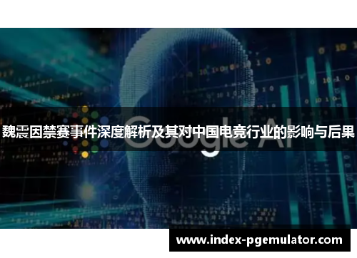 魏震因禁赛事件深度解析及其对中国电竞行业的影响与后果