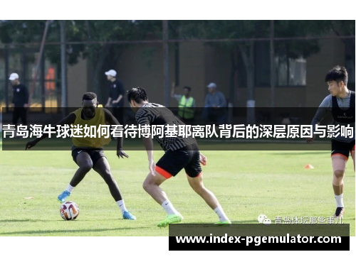 青岛海牛球迷如何看待博阿基耶离队背后的深层原因与影响