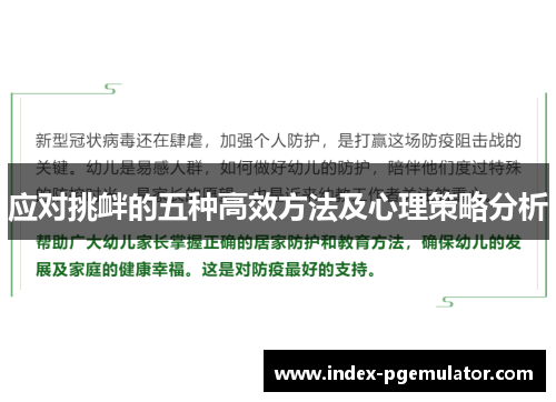 应对挑衅的五种高效方法及心理策略分析