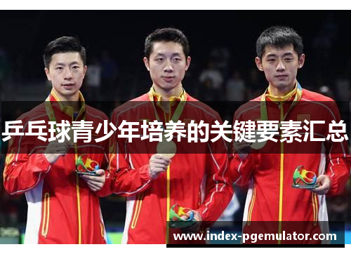 乒乓球青少年培养的关键要素汇总