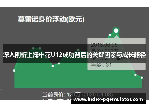 深入剖析上海申花U12成功背后的关键因素与成长路径