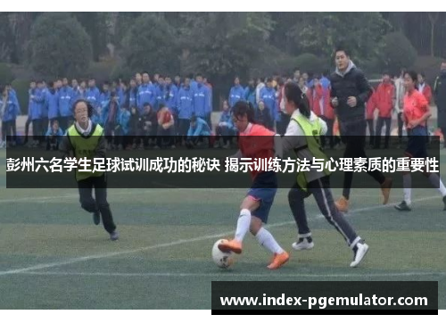 彭州六名学生足球试训成功的秘诀 揭示训练方法与心理素质的重要性