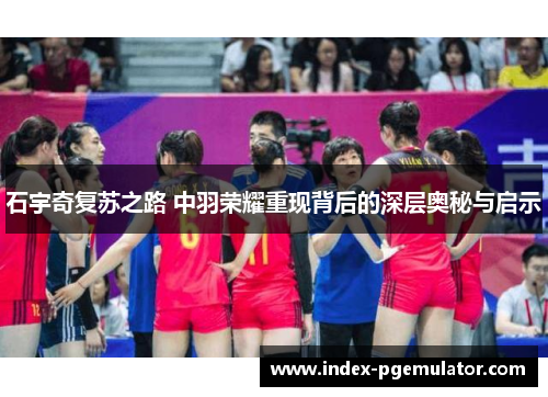 石宇奇复苏之路 中羽荣耀重现背后的深层奥秘与启示