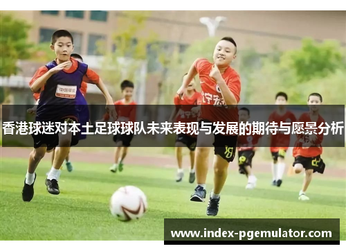 香港球迷对本土足球球队未来表现与发展的期待与愿景分析
