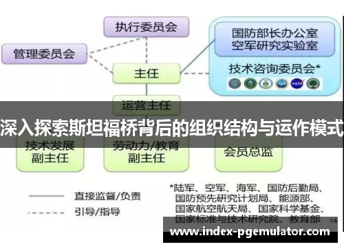 深入探索斯坦福桥背后的组织结构与运作模式