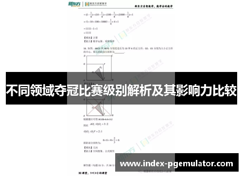 不同领域夺冠比赛级别解析及其影响力比较