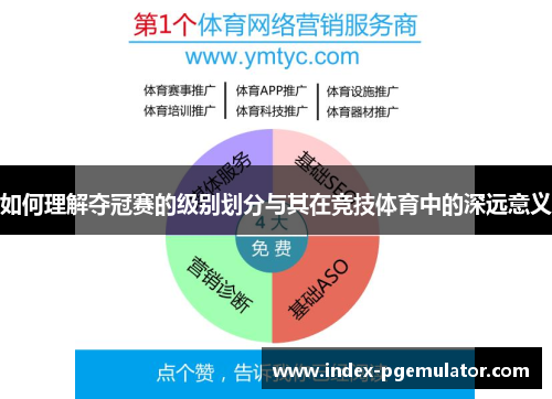 如何理解夺冠赛的级别划分与其在竞技体育中的深远意义