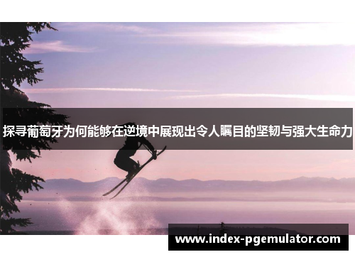 探寻葡萄牙为何能够在逆境中展现出令人瞩目的坚韧与强大生命力