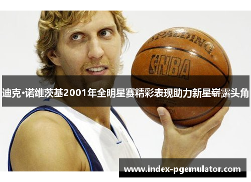 迪克·诺维茨基2001年全明星赛精彩表现助力新星崭露头角